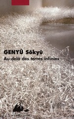 AU-DELA DES TERRES INFINIES