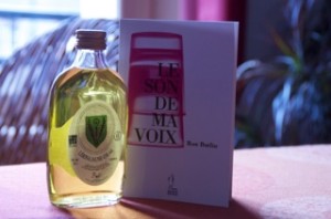 le son de ma voix